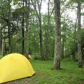 Review photo of Lewis Mountain Campground — Shenandoah National Park by Elliott B., July 11, 2017
