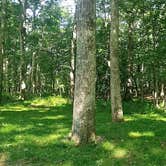 Review photo of Lewis Mountain Campground — Shenandoah National Park by Elliott B., July 11, 2017