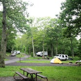 Review photo of Lewis Mountain Campground — Shenandoah National Park by Elliott B., July 11, 2017