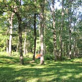 Review photo of Lewis Mountain Campground — Shenandoah National Park by Elliott B., July 11, 2017