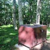 Review photo of Lewis Mountain Campground — Shenandoah National Park by Elliott B., July 11, 2017