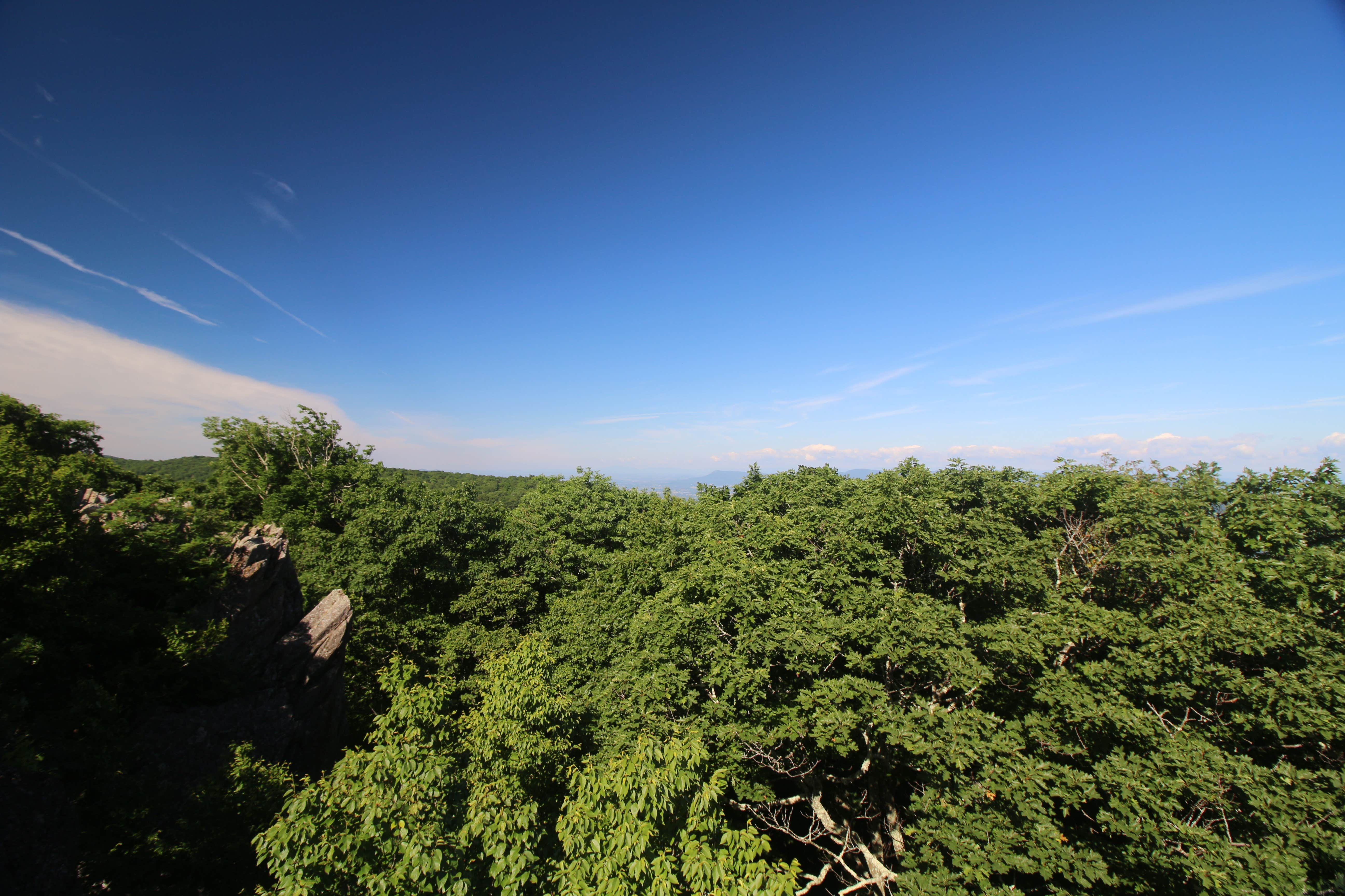 Camper-submitted photo at Lewis Mountain Campground — Shenandoah National Park near Flint Hill, VA