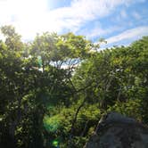 Review photo of Lewis Mountain Campground — Shenandoah National Park by Elliott B., July 11, 2017