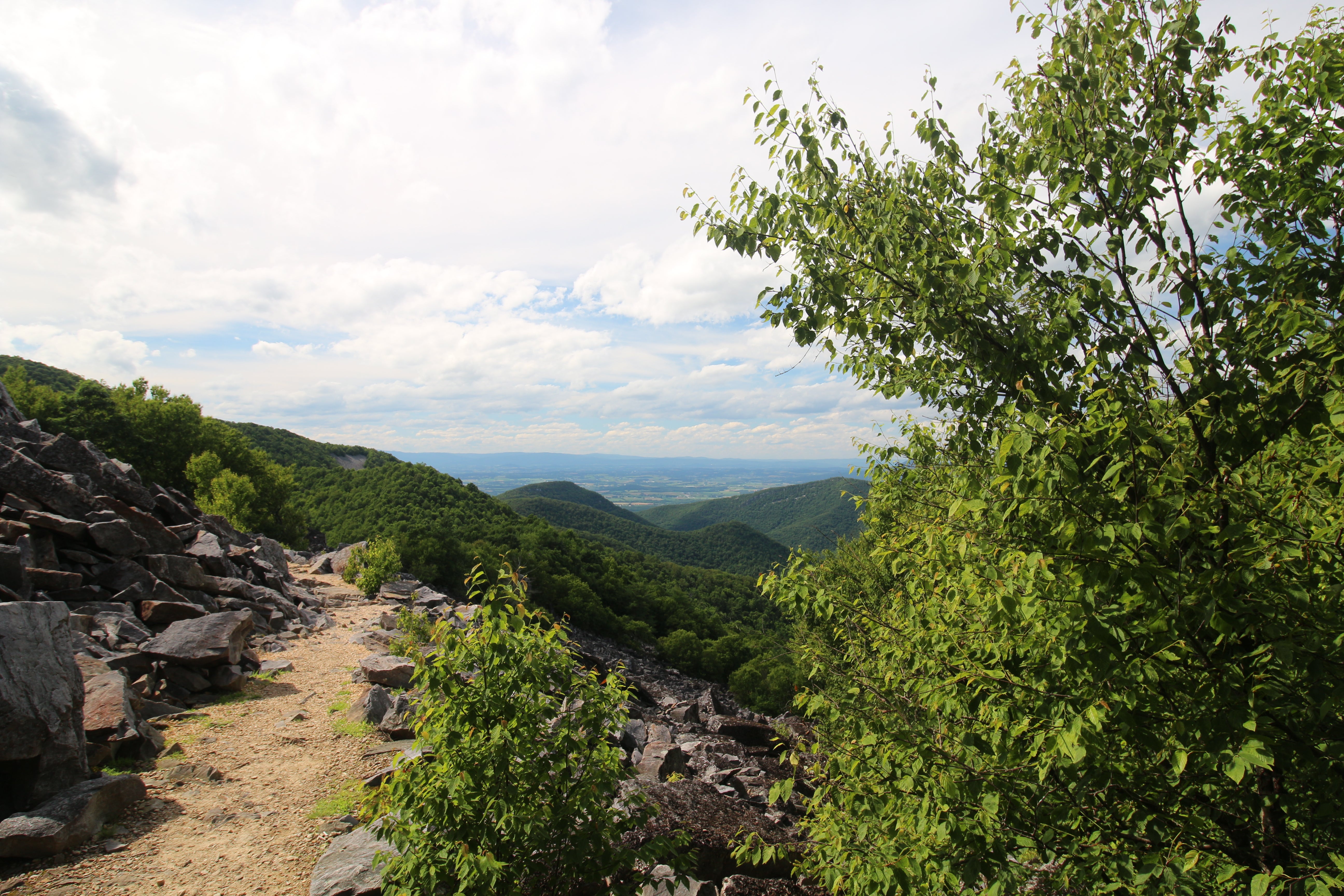 Camper submitted image from Loft Mountain Campground — Shenandoah National Park - 3