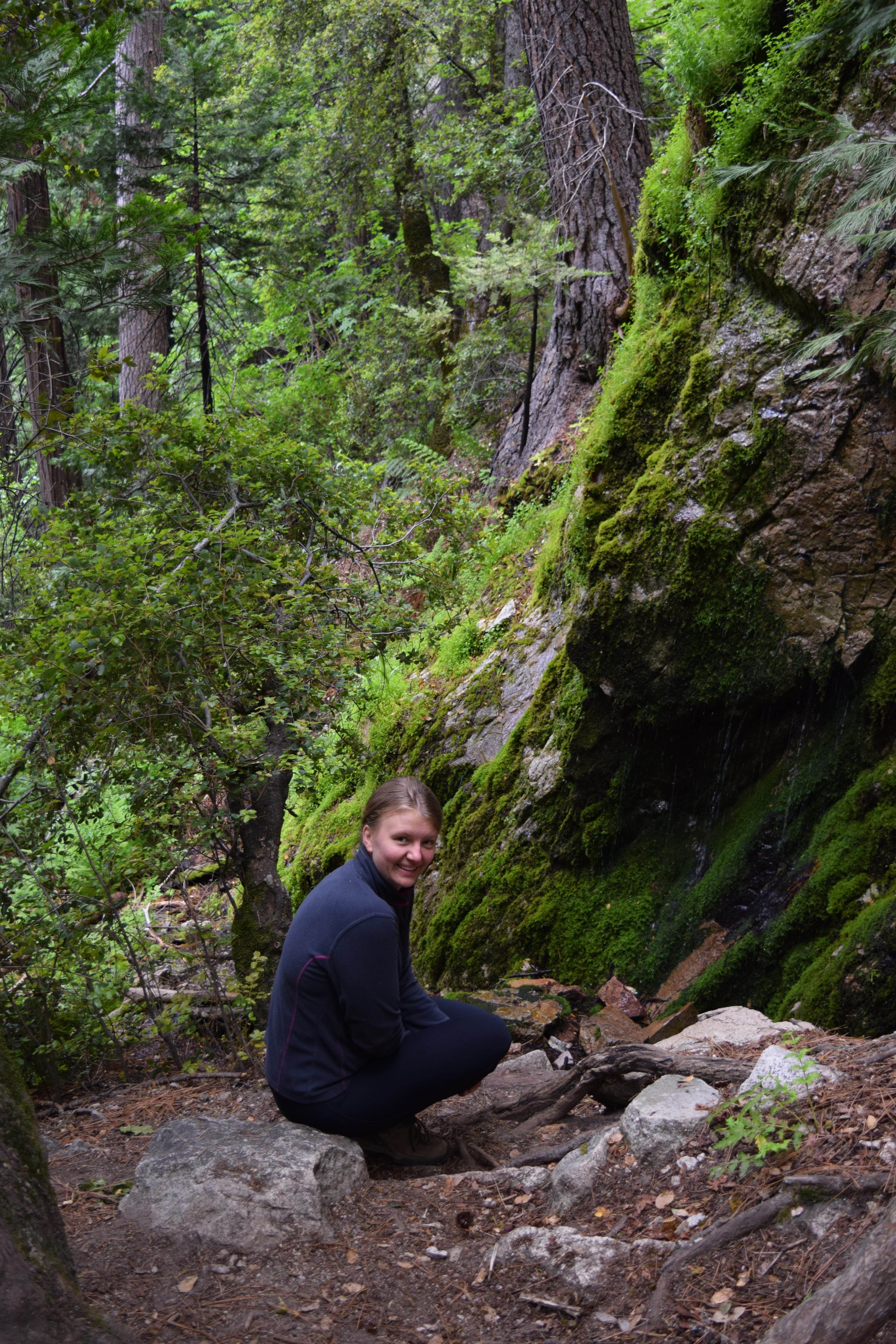 Camper submitted image from Castle Crags State Park Campground - 5