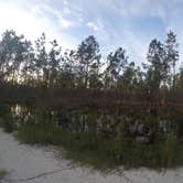 Review photo of Oak Ridge Primitive Campground by Elliott B., July 11, 2017