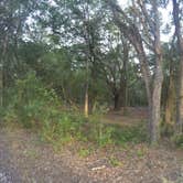 Review photo of Oak Ridge Primitive Campground by Elliott B., July 11, 2017