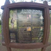 Review photo of Oak Ridge Primitive Campground by Elliott B., July 11, 2017