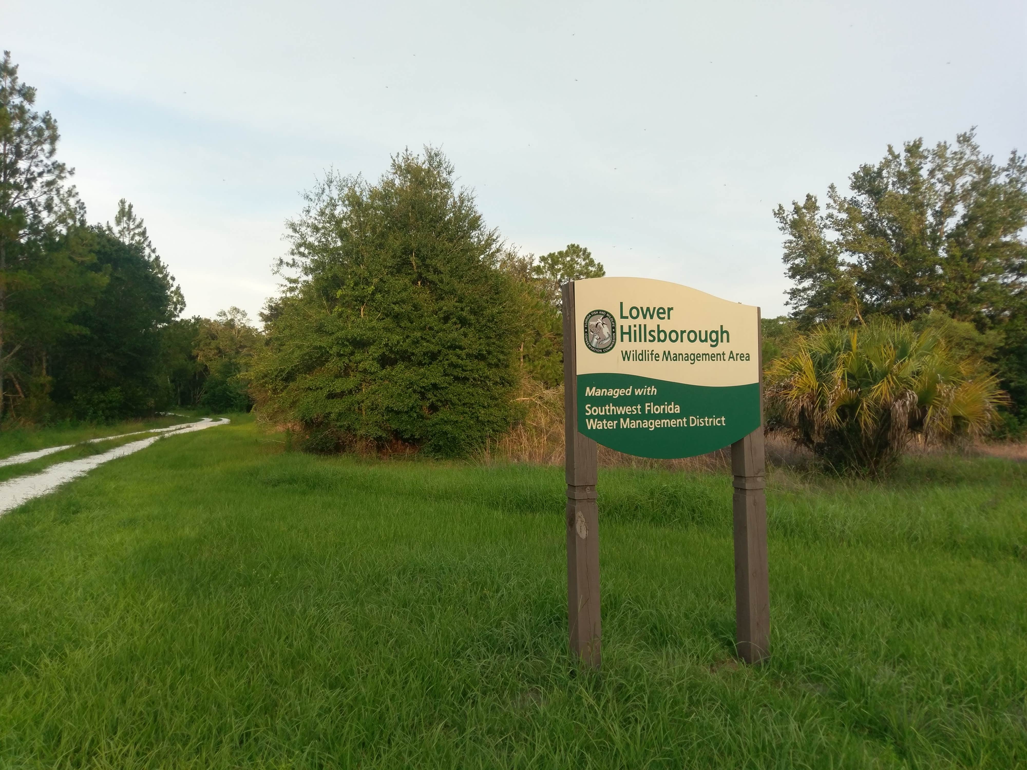 Camper submitted image from Oak Ridge Primitive Campground - 3