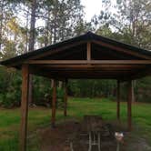Review photo of Oak Ridge Primitive Campground by Elliott B., July 11, 2017