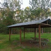 Review photo of Oak Ridge Primitive Campground by Elliott B., July 11, 2017