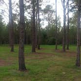Review photo of Oak Ridge Primitive Campground by Elliott B., July 11, 2017