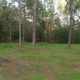 Review photo of Oak Ridge Primitive Campground by Elliott B., July 11, 2017
