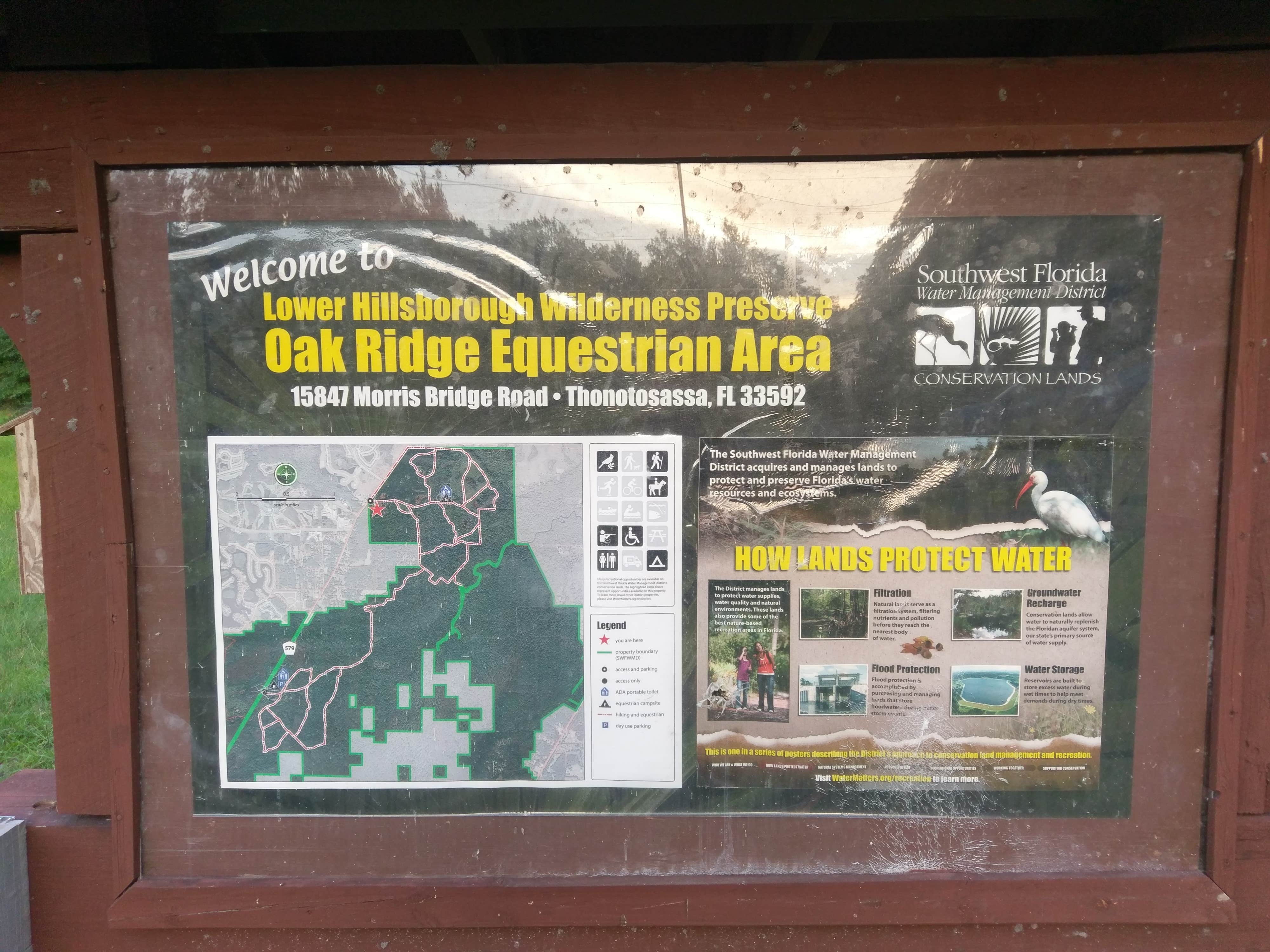 Camper-submitted photo at Oak Ridge Primitive Campground near Tampa, FL