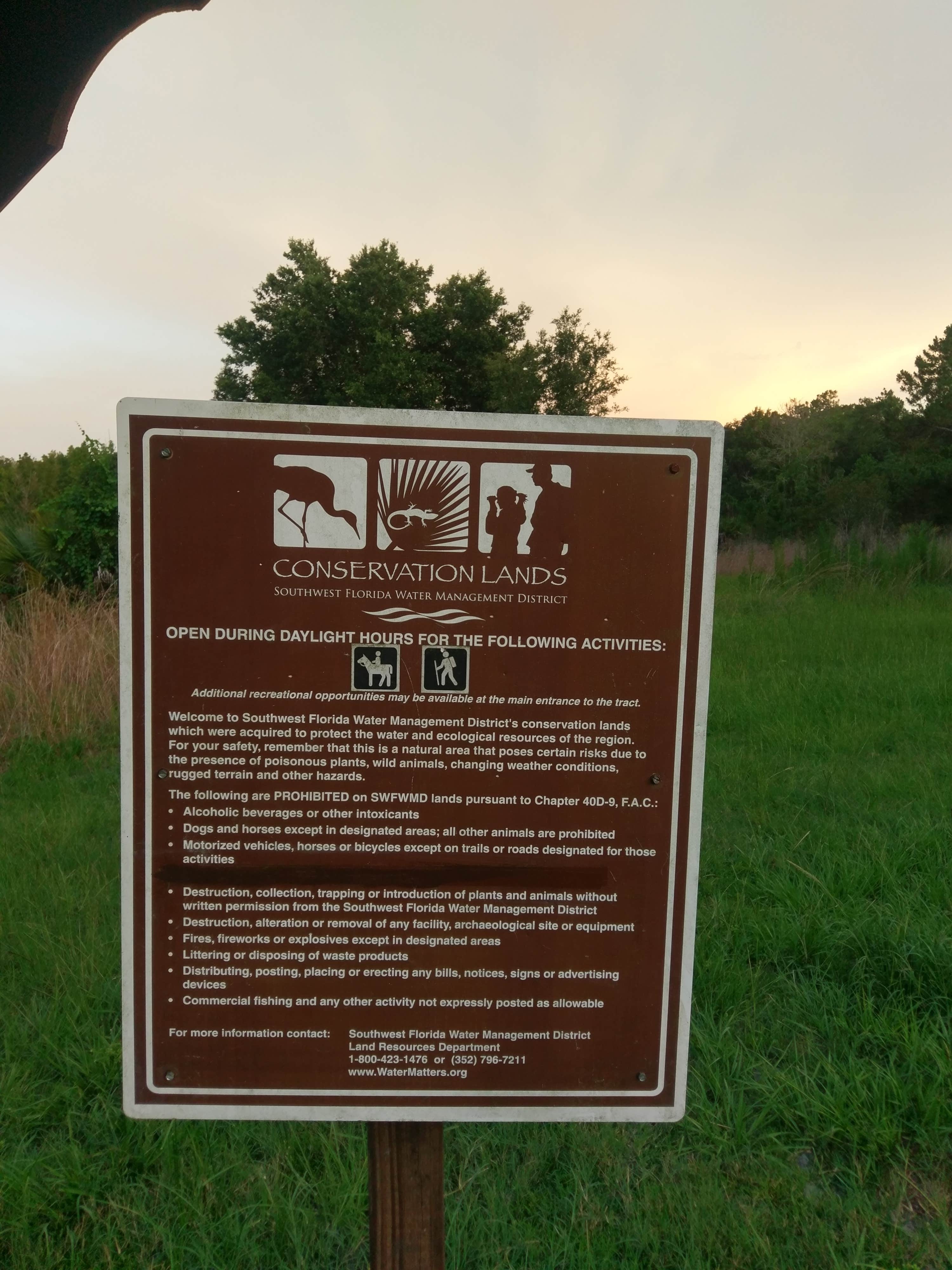 Camper-submitted photo at Oak Ridge Primitive Campground near Tampa, FL