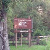 Review photo of Oak Ridge Primitive Campground by Elliott B., July 11, 2017