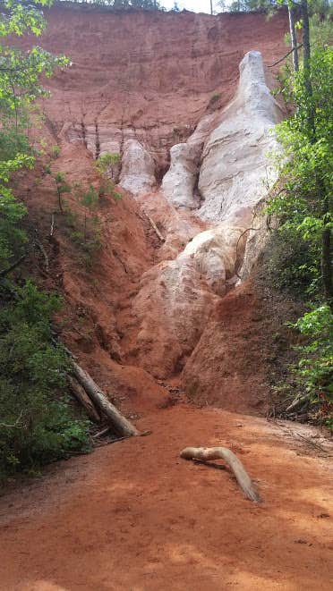 Camper submitted image from Providence Canyon State Park Campground - 3