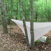 Review photo of Canoe Camp — Raven Rock State Park by Chris W., July 12, 2017