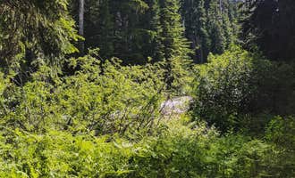 Camping near Ohanapecosh Campground — Mount Rainier National Park: Soda Springs, Packwood, Washington