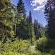 Soda Springs