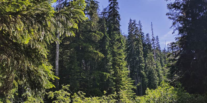 Camper submitted image from Soda Springs