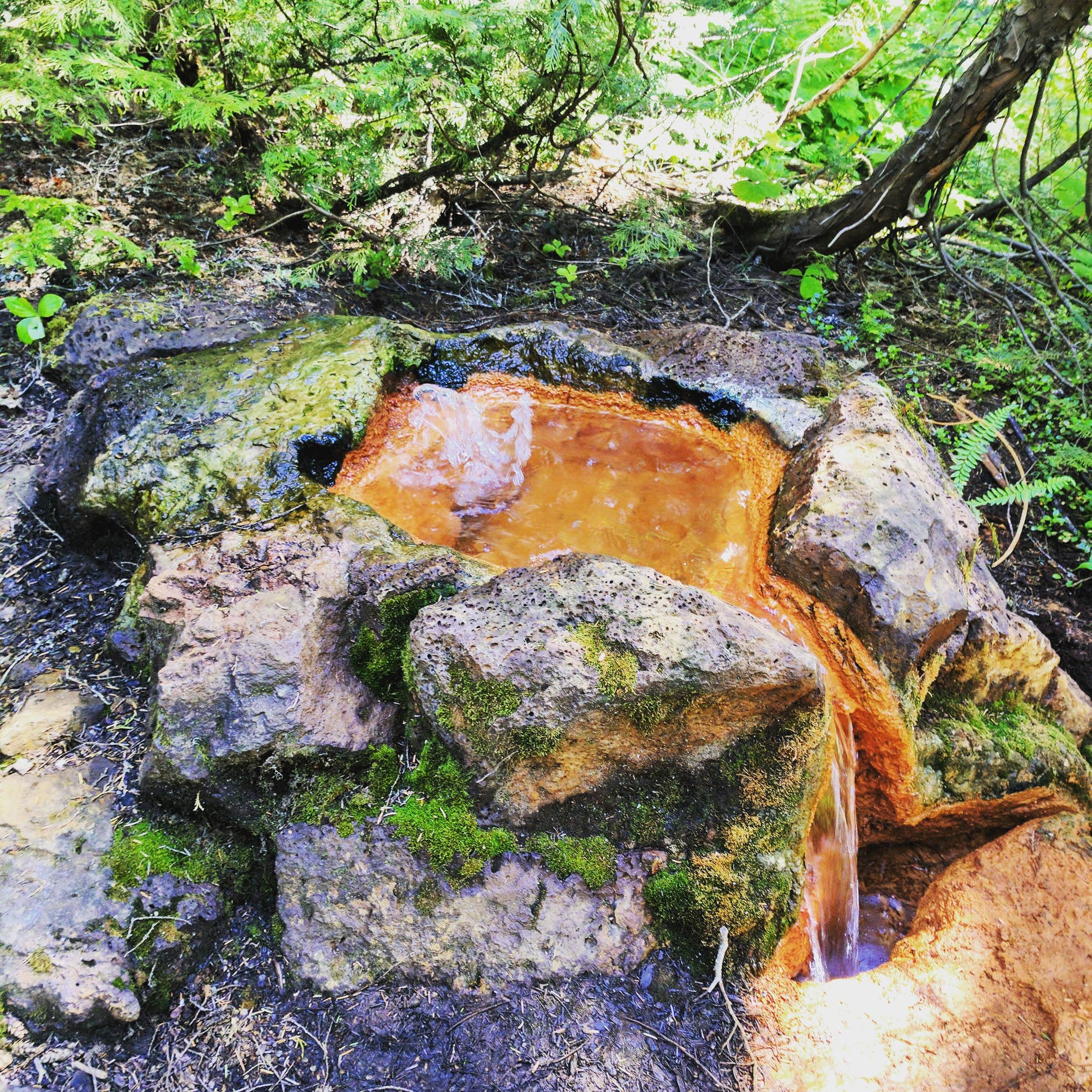 Soda Springs Camping | The Dyrt