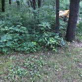 Review photo of Cliffwood Campground — Mirror Lake State Park by Nina T., July 12, 2017