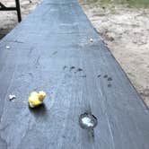 Review photo of Cliffwood Campground — Mirror Lake State Park by Nina T., July 12, 2017