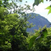 Review photo of Davidson River Campground by Sarah C., July 12, 2017