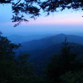 Review photo of Davidson River Campground by Sarah C., July 12, 2017