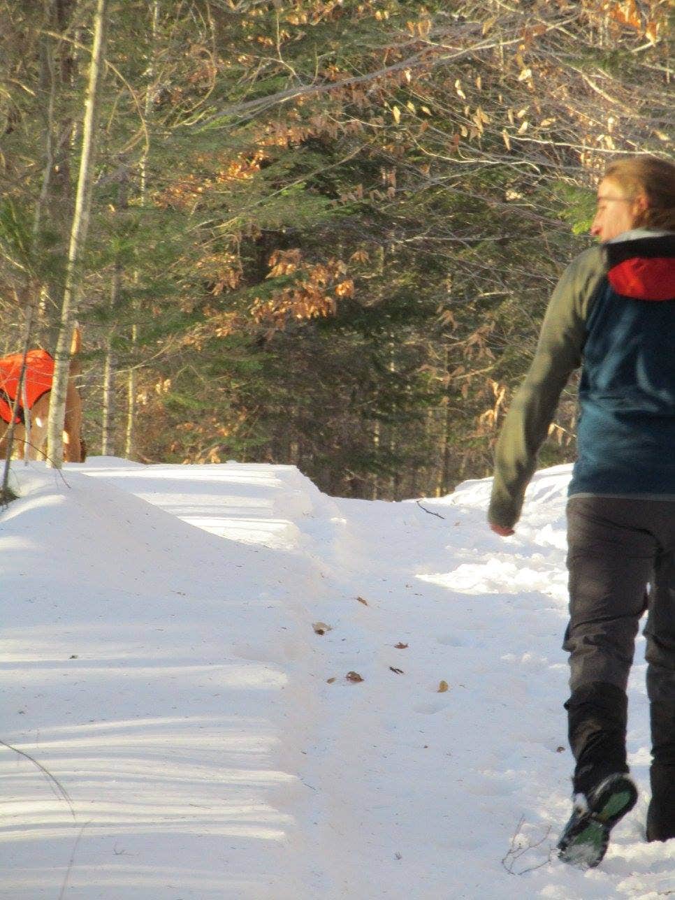 Camper submitted image from Moose Brook State Park Campground - 4