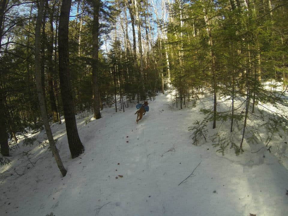 Camper submitted image from Moose Brook State Park Campground - 2