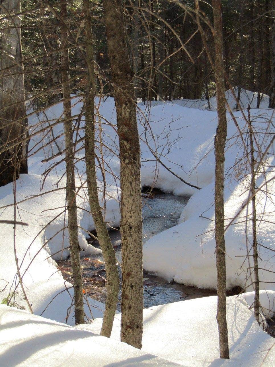 Camper-submitted photo at Moose Brook State Park Campground in New Hampshire