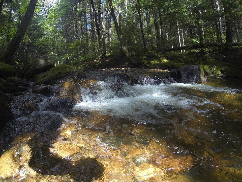 Camper submitted image from Moose Brook State Park Campground - 5