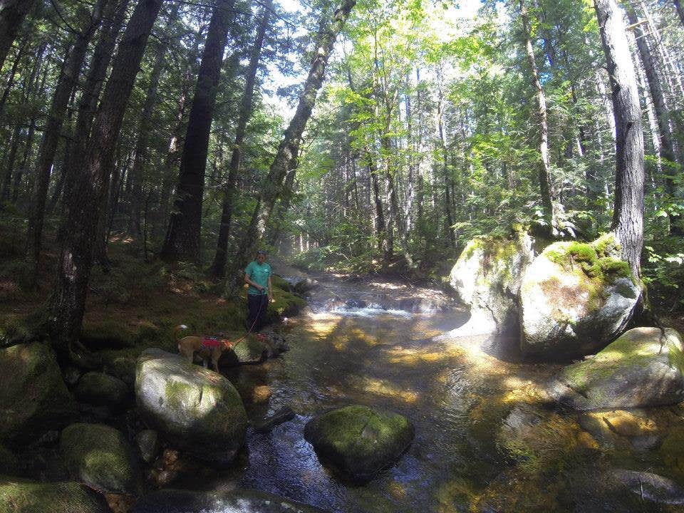 Camper-submitted photo at Moose Brook State Park Campground in New Hampshire