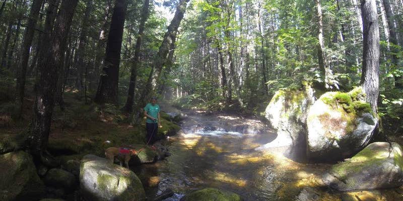 Camper submitted image from Moose Brook State Park Campground