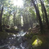 Review photo of Moose Brook State Park Campground by Sarah C., July 12, 2017