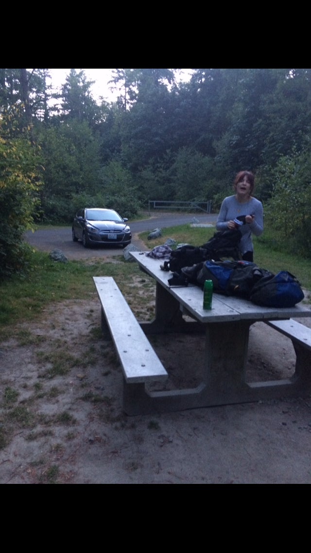 Parking and picnic table