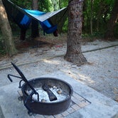 Review photo of Carolina Beach State Park Campground by Stephanie B., July 12, 2017