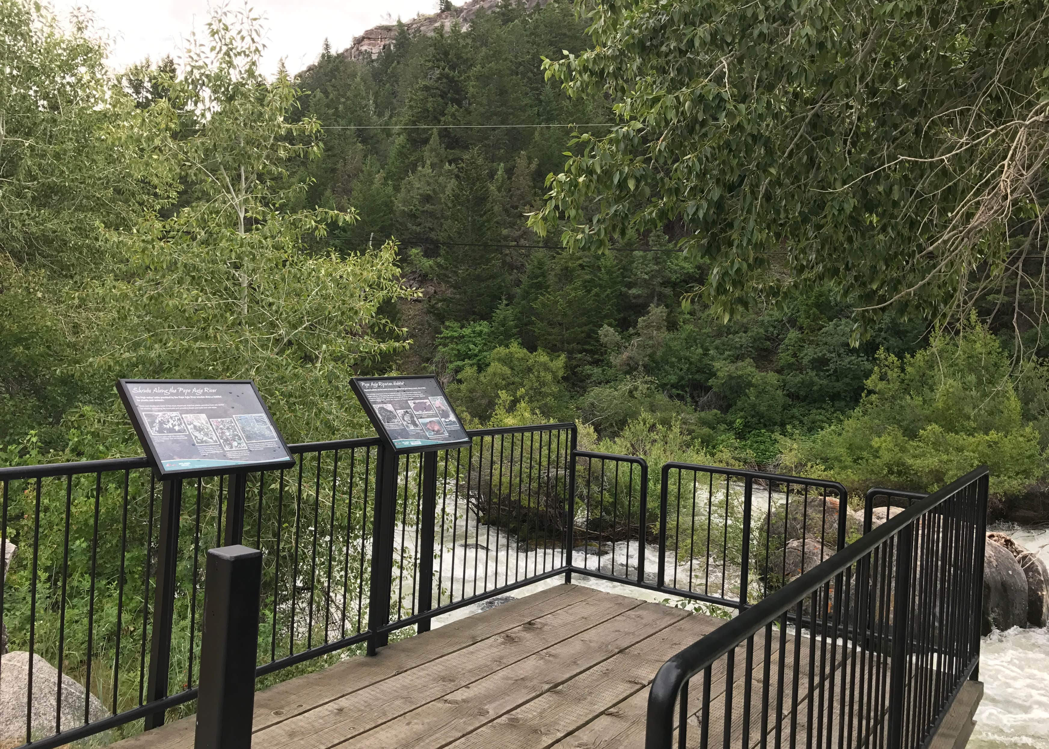 Sawmill Campground Camping The Dyrt