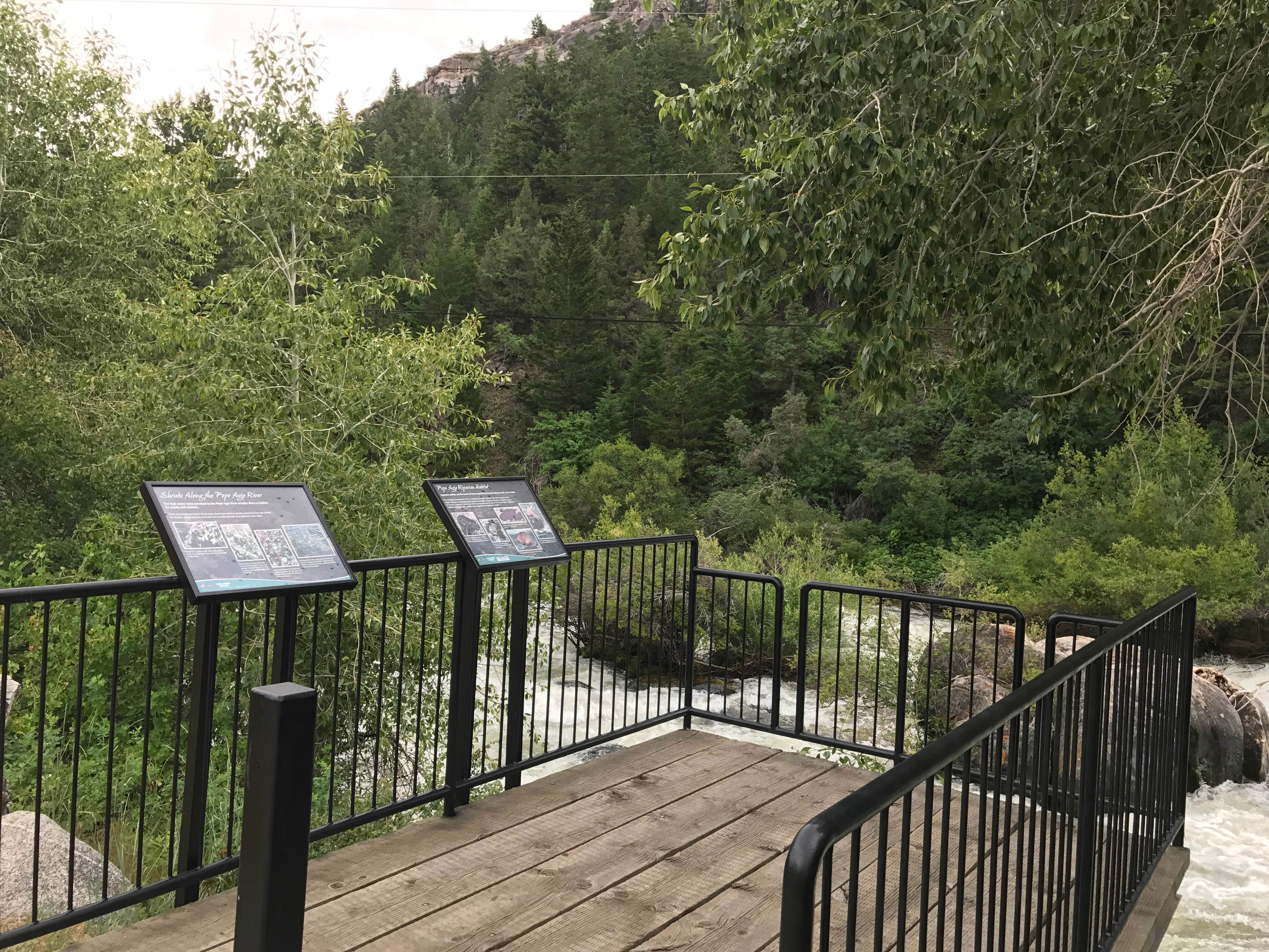Camper submitted image from Sawmill Campground — Sinks Canyon State Park - 1