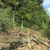 Review photo of Dillon State Park Campground by Renée C., July 12, 2017