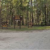 Review photo of Hog Island Campground — Withlacoochee State Forest by Elliott B., July 12, 2017