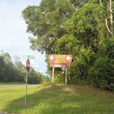 Review photo of Hog Island Campground — Withlacoochee State Forest by Elliott B., July 12, 2017