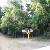 Review photo of Hog Island Campground — Withlacoochee State Forest by Elliott B., July 12, 2017