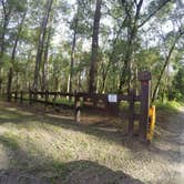 Review photo of Hog Island Campground — Withlacoochee State Forest by Elliott B., July 12, 2017