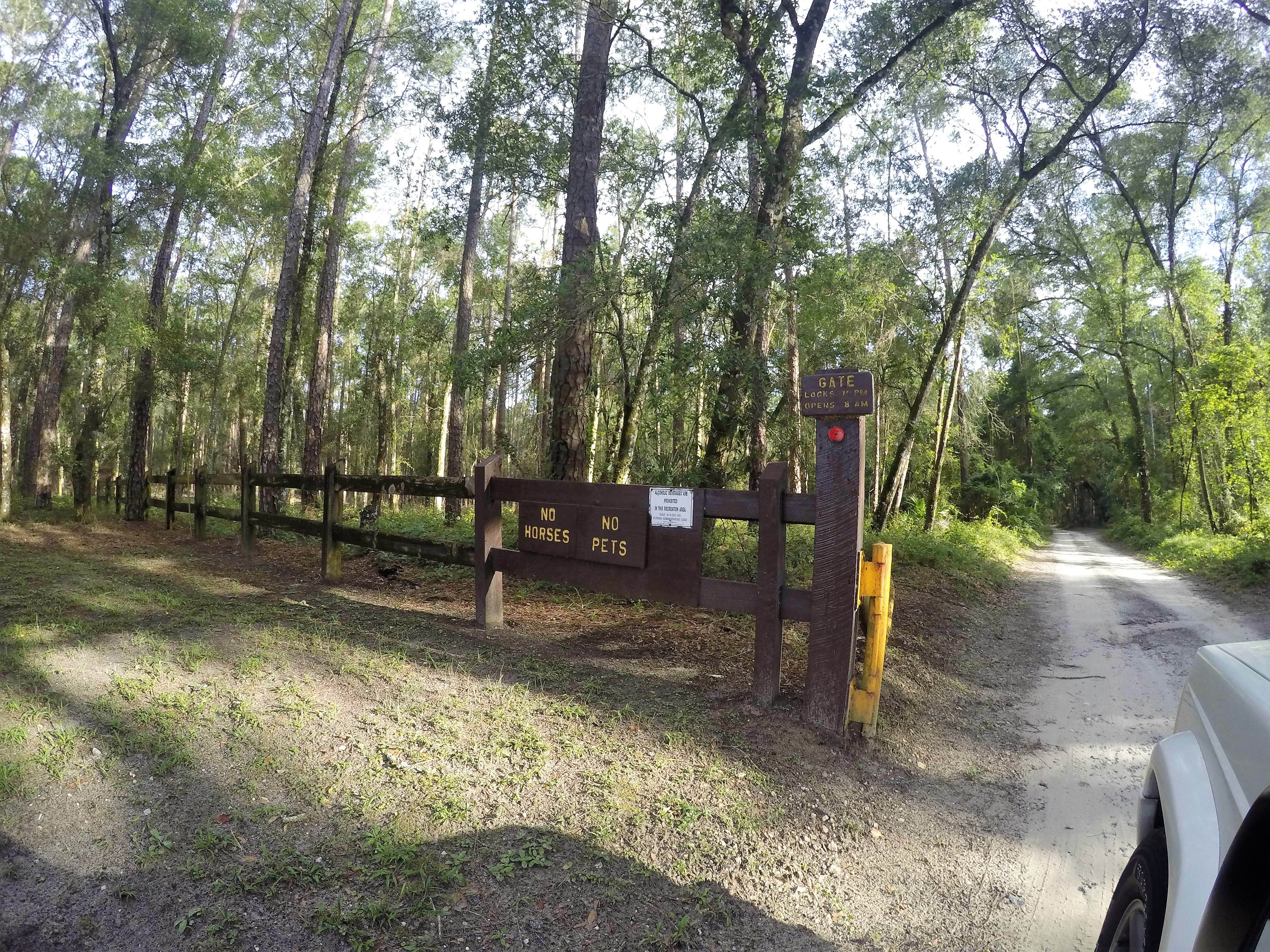 Camper submitted image from Hog Island Recreation Area - 3