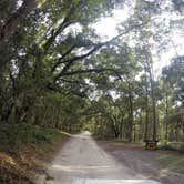 Review photo of Hog Island Recreation Area by Elliott B., July 12, 2017