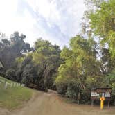Review photo of Hog Island Campground — Withlacoochee State Forest by Elliott B., July 12, 2017
