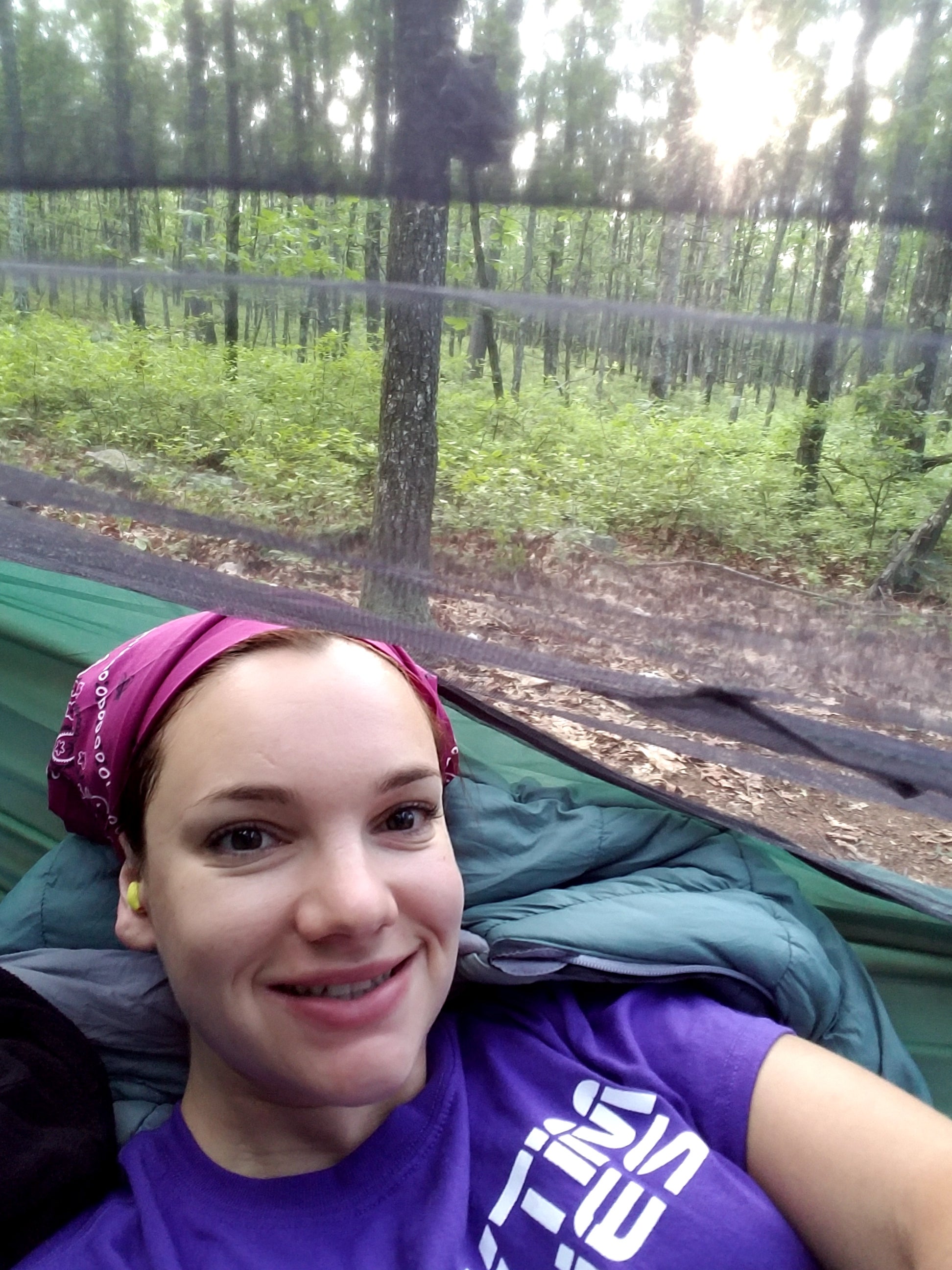 Camper submitted image from Appalachian Trail- Designated Backpacker Campsite 2 - 2